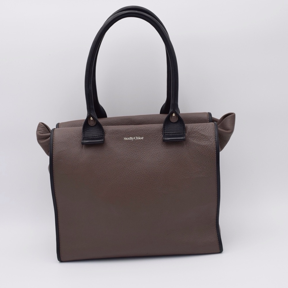 SEE BY CHLOE LEATHER PURSE